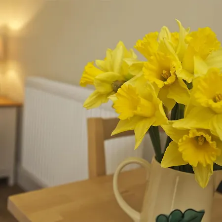 1 Bed In York Oc-G0032 *