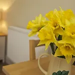 1 Bed In York Oc-G0032 *